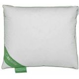 Hoofdkussen - Wit - Katoen