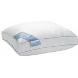 Hoofdkussen - Wit - Polyester