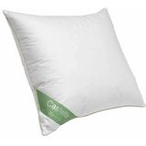 Hoofdkussen - Wit - Katoen - 60x70 cm