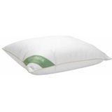 Hoofdkussen - Wit - Katoen - 60x70 cm