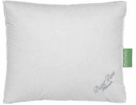 Hoofdkussen - Wit - Polyester