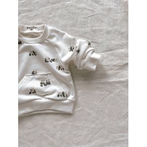 Panda baby trui - met voorzakje | Truitjes & Vestjes | PETITE EvelinaApparel