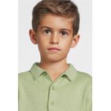 LEVV - RICK - T-shirt - Mintgroen - Katoen - Korte Mouwen