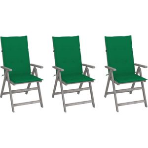 The Living Store Tuinstoelen - Acaciahout - Armstoelen - 56x70x110 cm - Verstelbaar