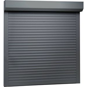 The Living Store Rolluik 100x100 cm aluminium antracietkleurig - Rolluik - Aluminium Rolluik - Buitendecoratie - Zonwering - Ramendecoratie
