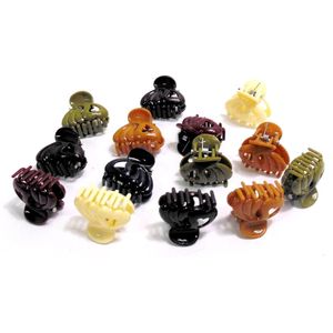 Haarklemmetjes 2,5 cm bruin-creme-groen-rood-blauw. - Winter - Winterse kleuren - Herfst - Herfstkleuren