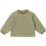 Glitter Raglan Top - Groen - Viscose - Met Elastaan