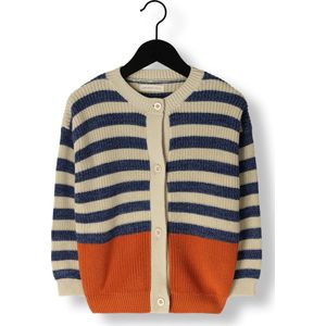 Your Wishes Stripe Knit Relaxed Cardigan Truien & Vesten Jongens - Sweater - Hoodie - Vest- Multi