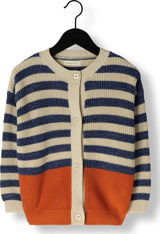 Your Wishes Stripe Knit Relaxed Cardigan Truien & Vesten Jongens - Sweater - Hoodie - Vest- Multi