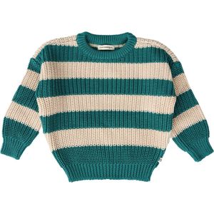 Your Wishes Stripe Montana Truien & Vesten Jongens - Sweater - Hoodie - Vest- Blauw
