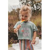 Twin Rib - Shirt - Mintgroen - Katoen/Elastaan