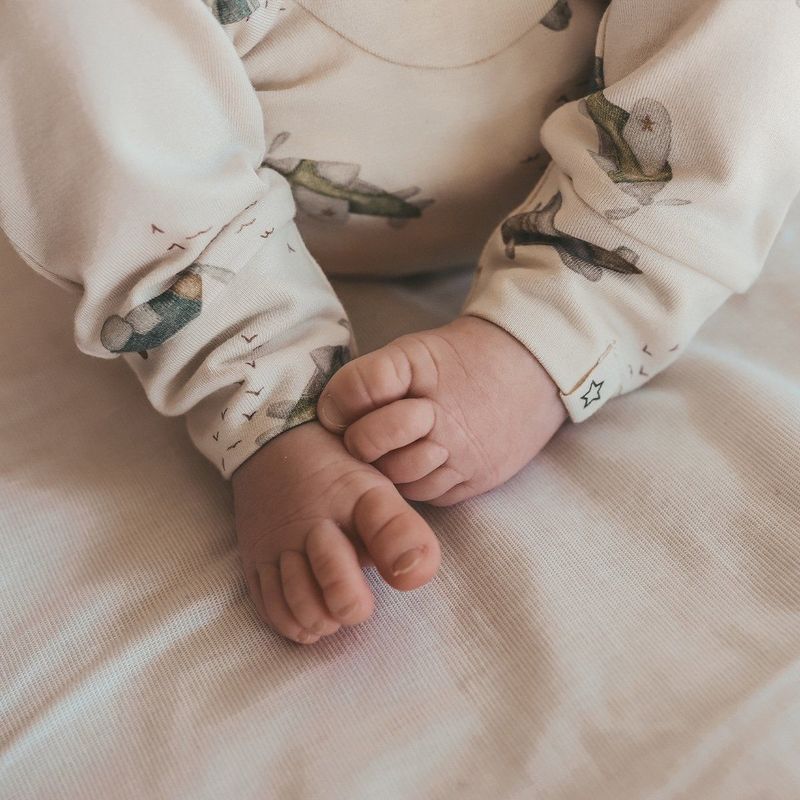 Avion - Fitted Pants - Broek - Zacht - Ademend - Hoge Tailleband