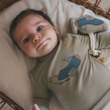 Solid - Longsleeve - Groen