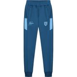 Malelions sport transfer trainingsbroek in de kleur marine