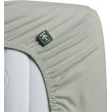 Beddinghouse - Jersey - Hoeslaken - Grijsgroen - 180x220 cm - Split-topper