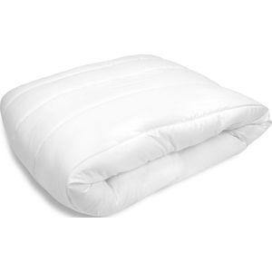 BioClean 4-seizoenen Dekbed Wasbaar - Lits-jumeaux (240) - 240x200