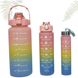 Livano Motivatie Waterfles - Motivatie Drinkfles - 2 Liter - Met Tijdmarkering - Mannen - Vrouwen - Roze