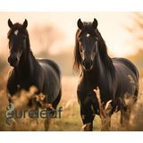 Eureleaf - Zendrops - Lijnzaadolie - 1 Liter - 0,1% CBD