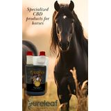 Eureleaf - Zendrops - Lijnzaadolie - 1 Liter - 0,1% CBD