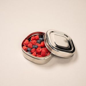 RVS Fruitbakjes - Snackboxen - snackdoosje- Medium - BPA vrij - Talli - School - Kind - fruitbox