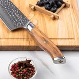 Messenset - Staal - 5 Stuks