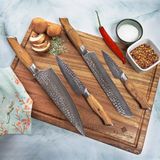 Messenset - Staal - 5 Stuks