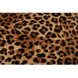 Dekbed - Wit - Katoen