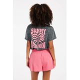 Protest - PRTAlpha - T-shirt - Anthra Grey - Korte Mouwen - Ronde Hals