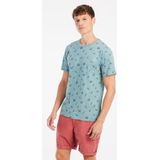 Protest - Prtelston - T-Shirt - Arctic Green - 100% Katoen