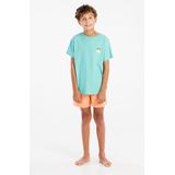 Protest - Prtfaros - T-shirt - Wave Green - Regular Fit