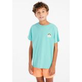 Protest - Prtfaros - T-shirt - Wave Green - Regular Fit