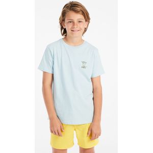 Protest - Prtkevan - T-shirt - Pale Green - Regular Fit