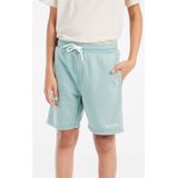 Protest Kids PRTClints Short (Kinderen |turkoois)