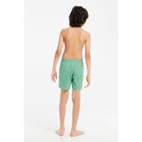 Protest - Culture - Zwemshort - Cactus Green - 100% Polyamide