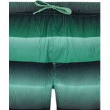 Protest - Prtradar - Zwemshort - Cactus Green