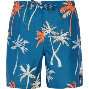 Protest Prthear Beachshort