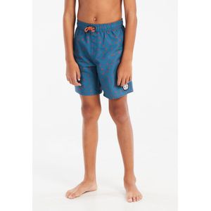 Protest - Prttyson - Zwembroek - Raku Blue - 100% Gerecycled Polyester