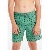Protest - Prttyson - Zwemshort - Cactus Green - 100% Gerecycled Polyester