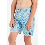 Protest Kids PRTColney Boardshort (Kinderen |blauw)