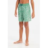 Protest - Prtsurfin - Zwemshort - Cactus Green - 100% Polyester