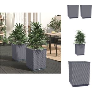 vidaXL Plantenbak - Plantenbakken - Verhoogde Plantenbak - Kweekbak - Plantenbakken 2 st 30x30x37 cm polypropeen donkergrijs