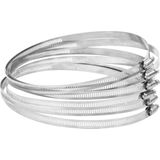 Slangklem - Zilver - 304 Roestvrij Staal - Diameter 91-110 mm