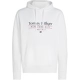 Tommy Hilfiger - HILFIGER CENTER STACK HOODY - Sweater - Multicolor - Katoen