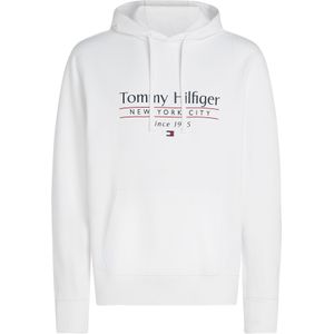 Tommy Hilfiger - HILFIGER CENTER STACK HOODY - Sweater - Multicolor - Katoen