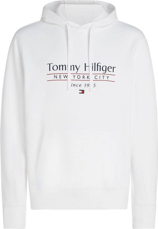 Tommy Hilfiger - HILFIGER CENTER STACK HOODY - Sweater - Multicolor - Katoen