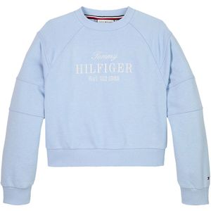 Tommy Hilfiger sweater blauw