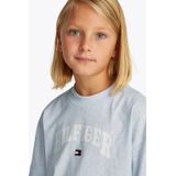 TOMMY HILFIGER Shirt  marine / lichtblauw / rood / wit