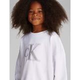 Calvin Klein Metallic Ck Ls Cn Sweatshirt - Streetwear - Kind
