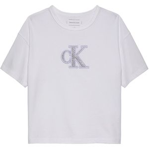 Calvin Klein Jeans Metallic T-shirt Met Korte Mouwen