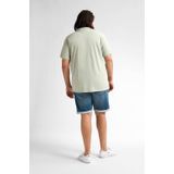 Klassieke Polo - Effen - Plus Size - Openstaande Kraag - Knoopsluiting - 100% Katoen